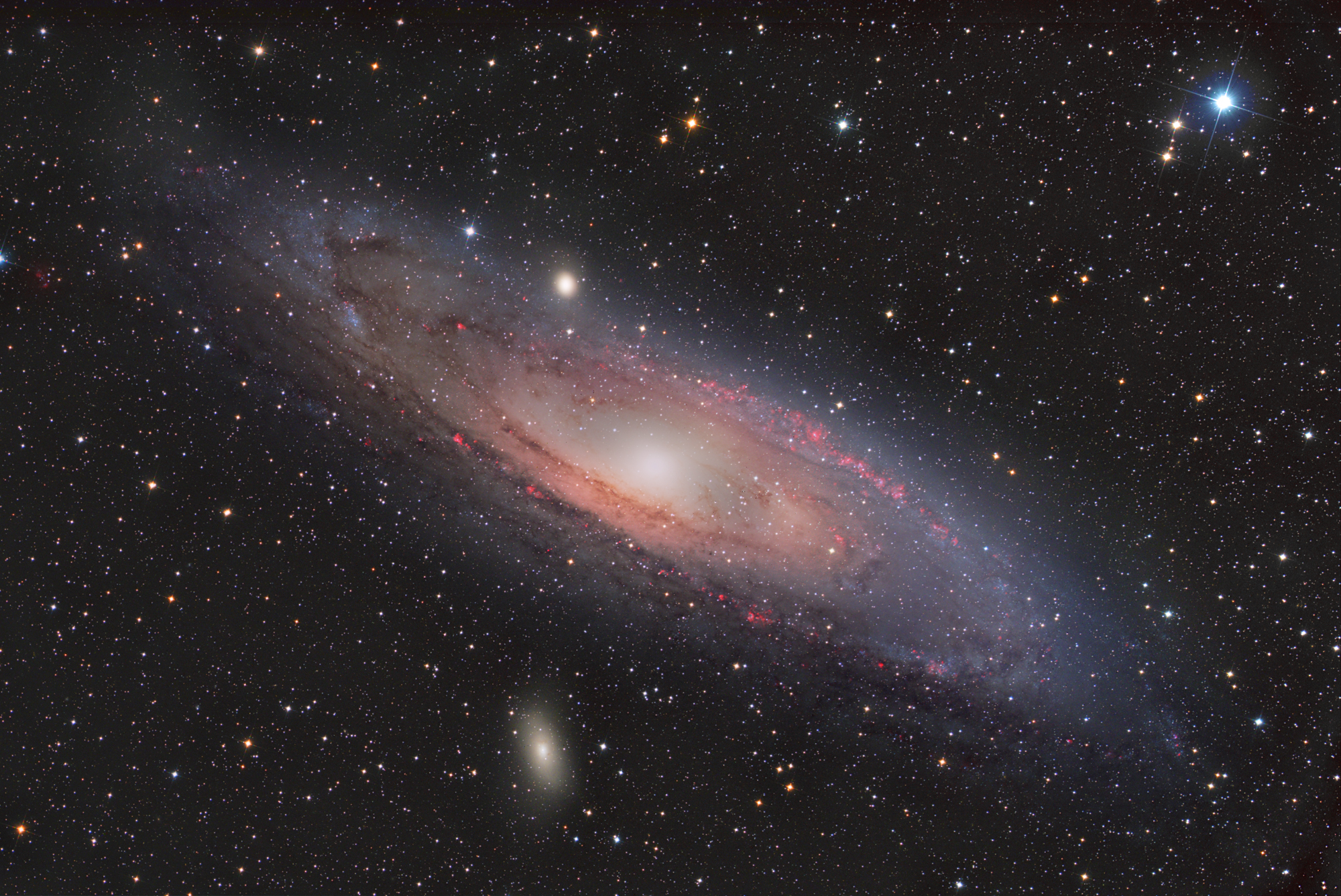 M31