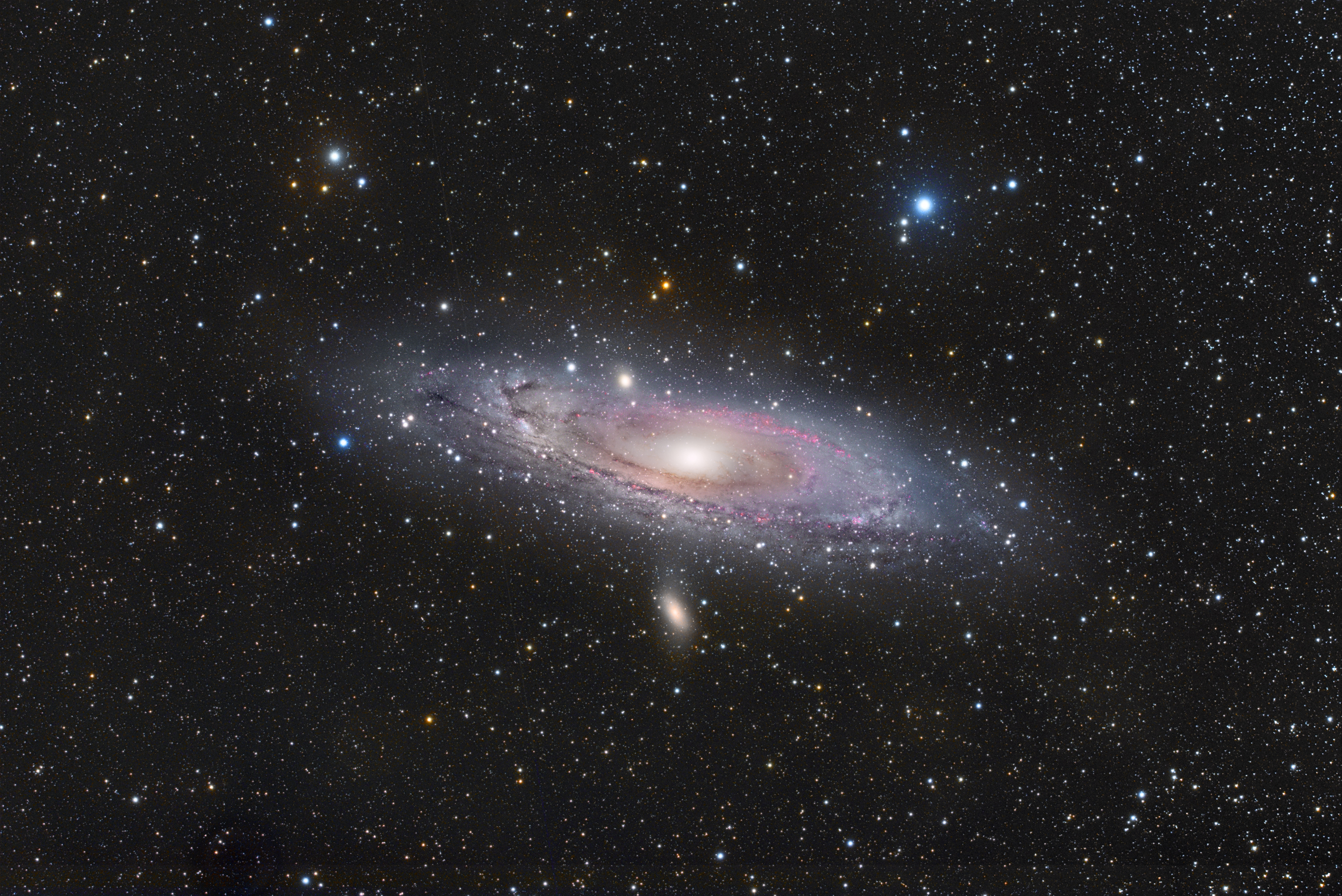 M31