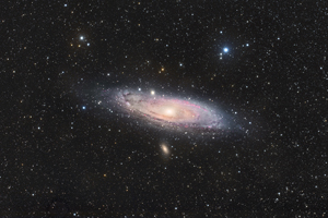 M31