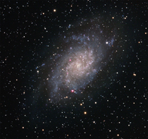 M33