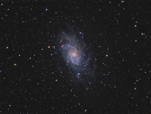 M33