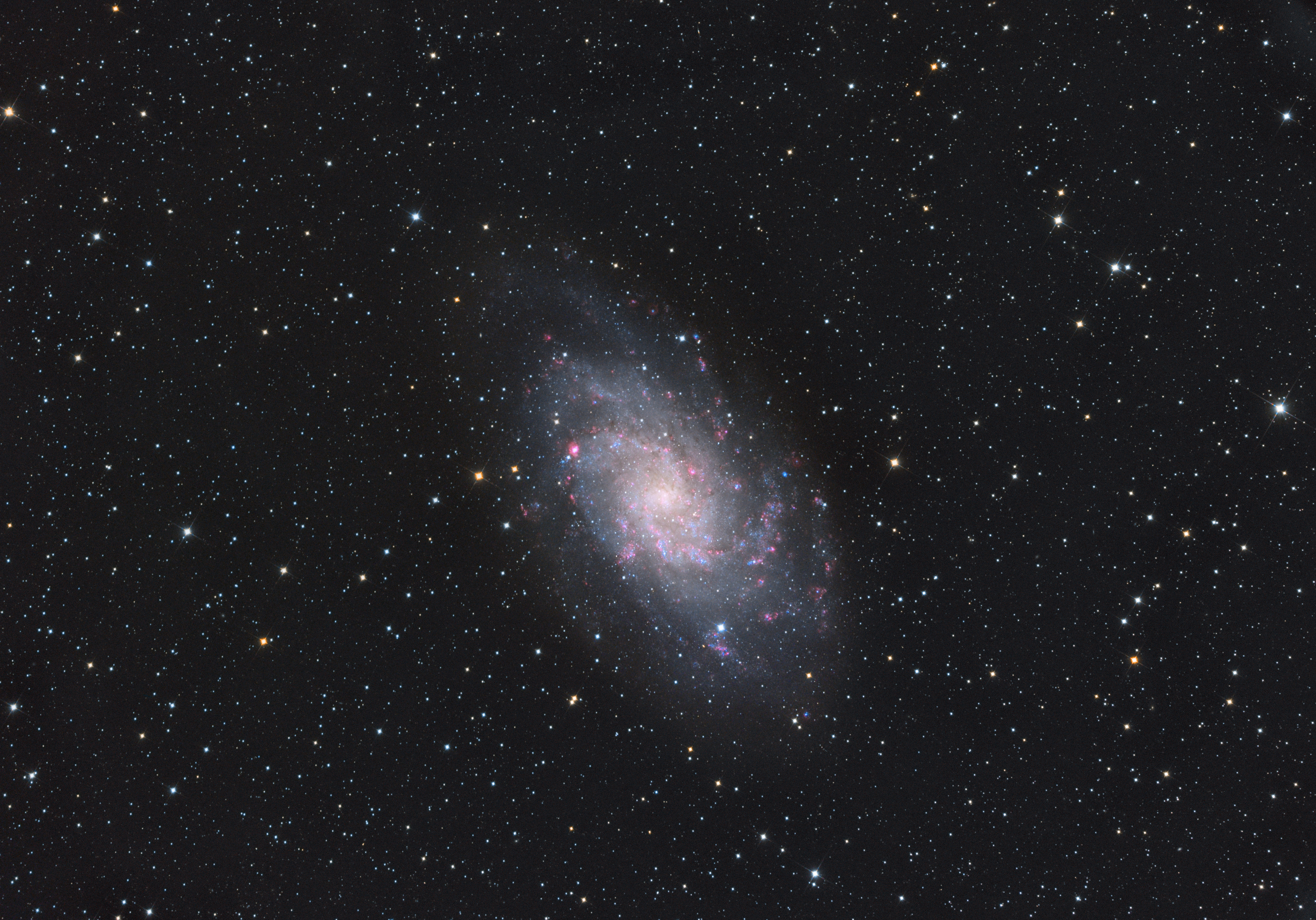 M33