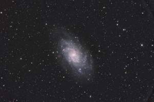 M33