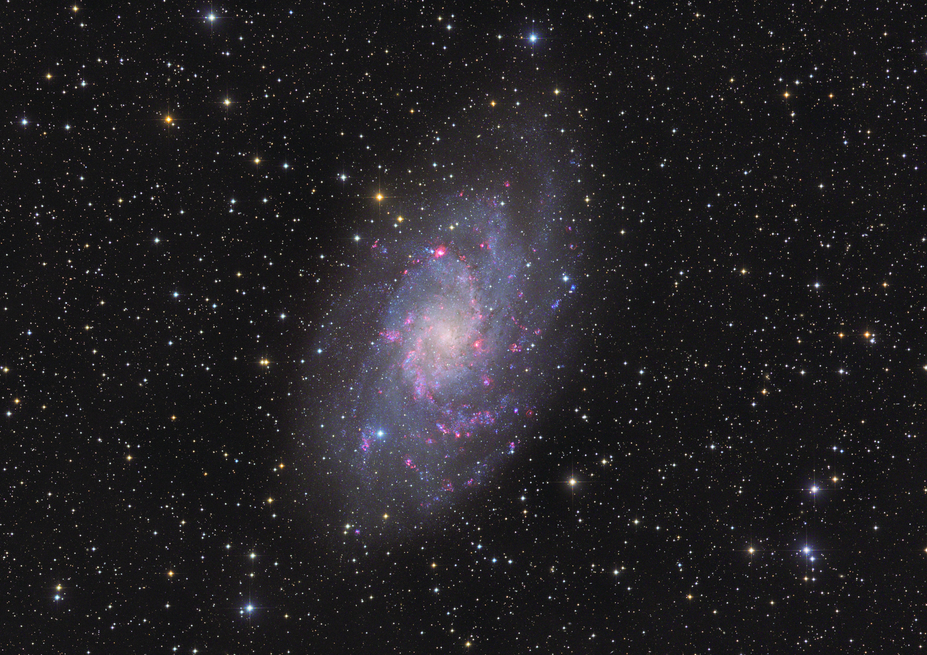 M33
