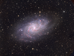 M33 Widefield