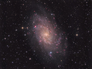 M33