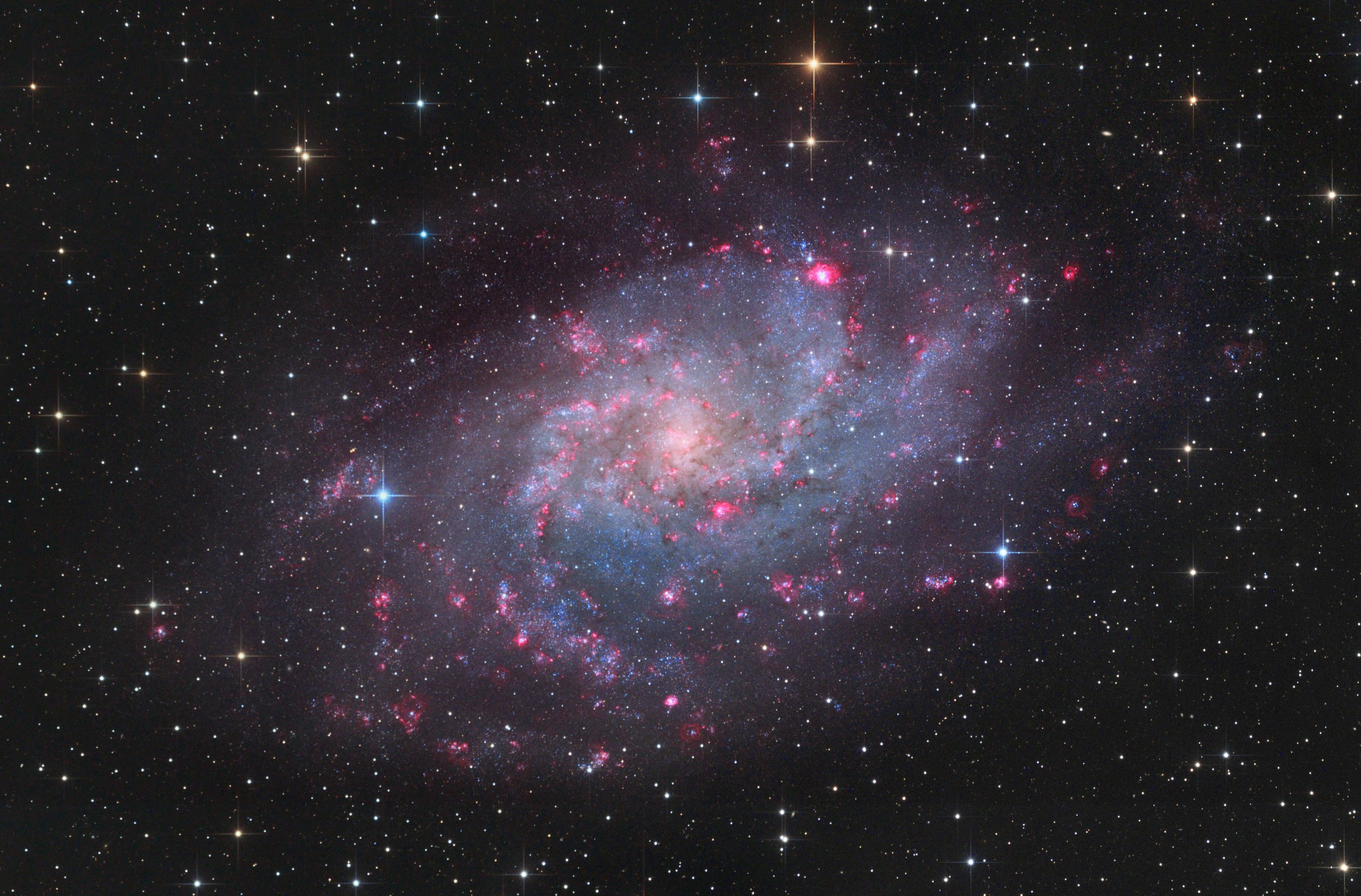 M33