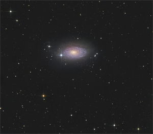 M63