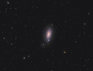 M63