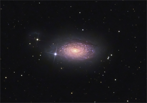 M63