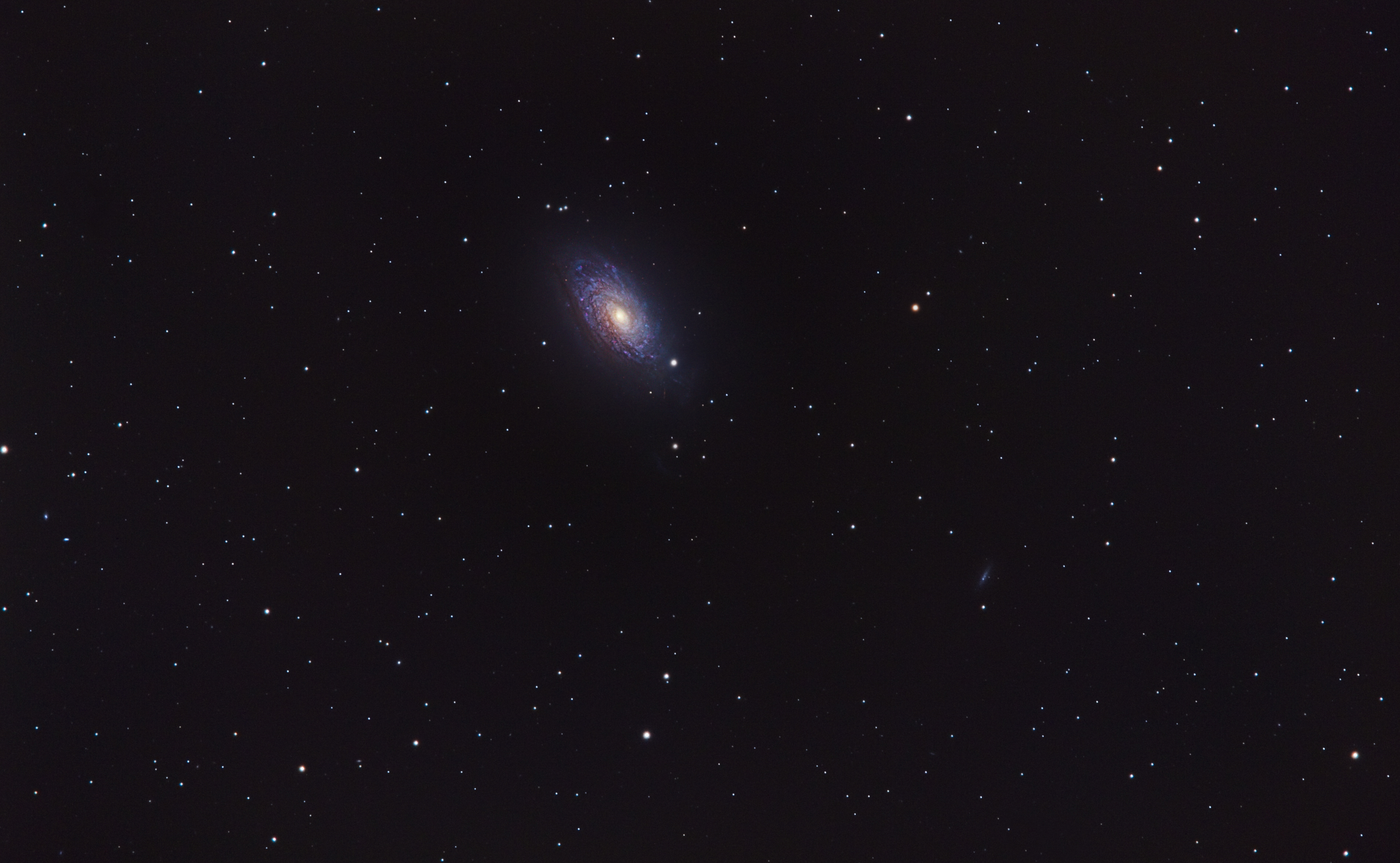 M63 Sunflower