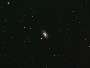 M64