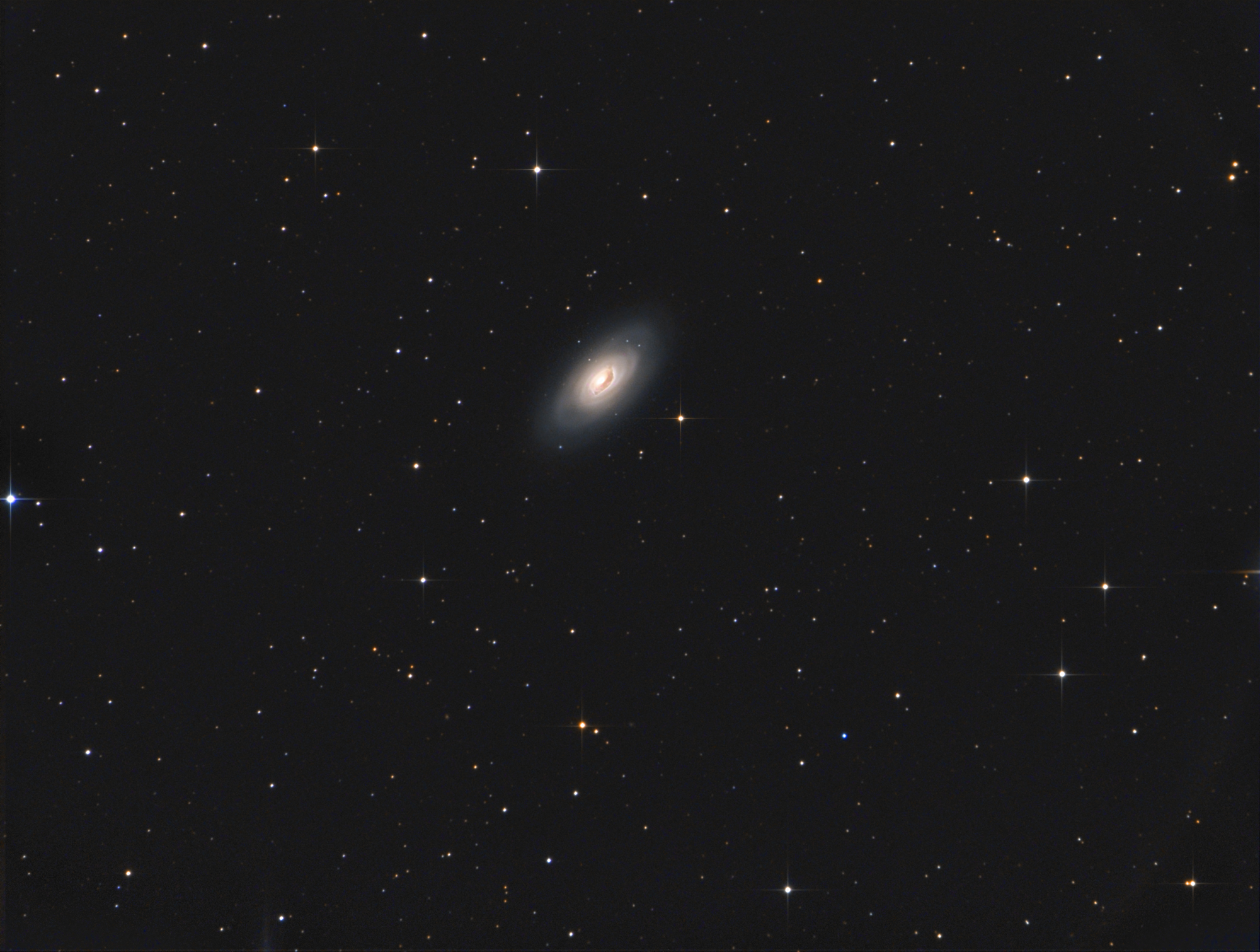 M64