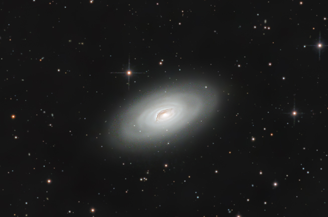 M64