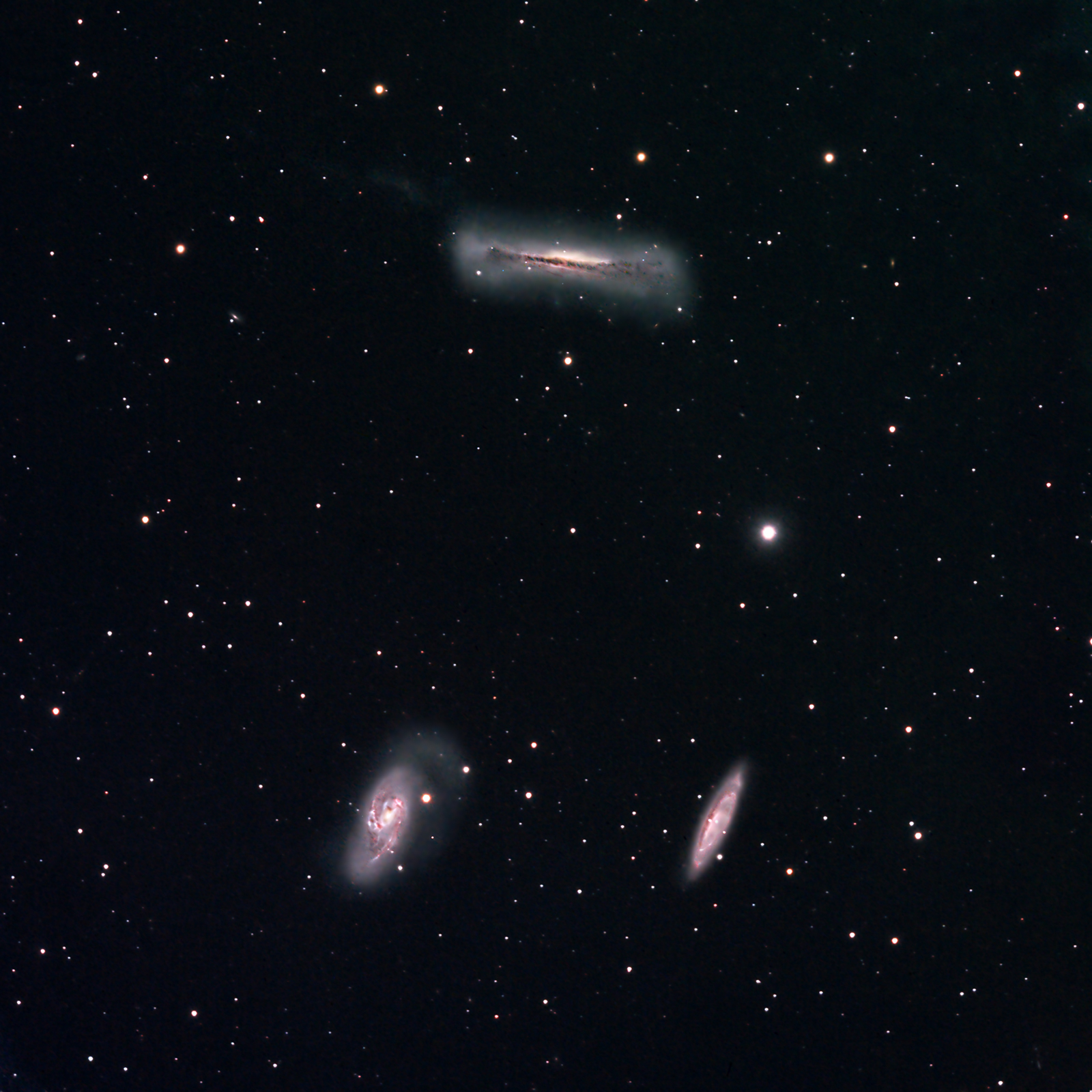 M65 M66 NGC3628 Medium