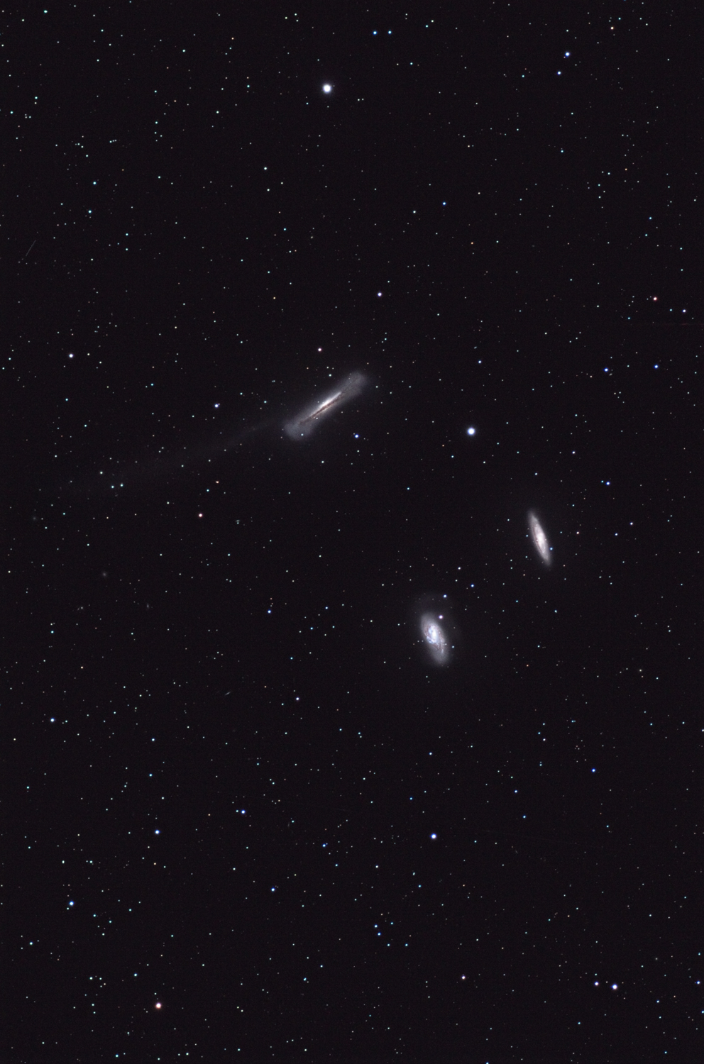 M65 M66 NGC3628