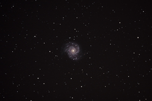 M74