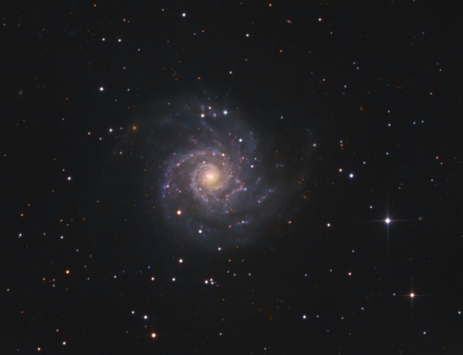 M74