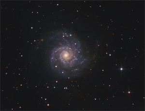 M74