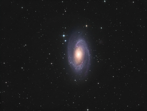 M81