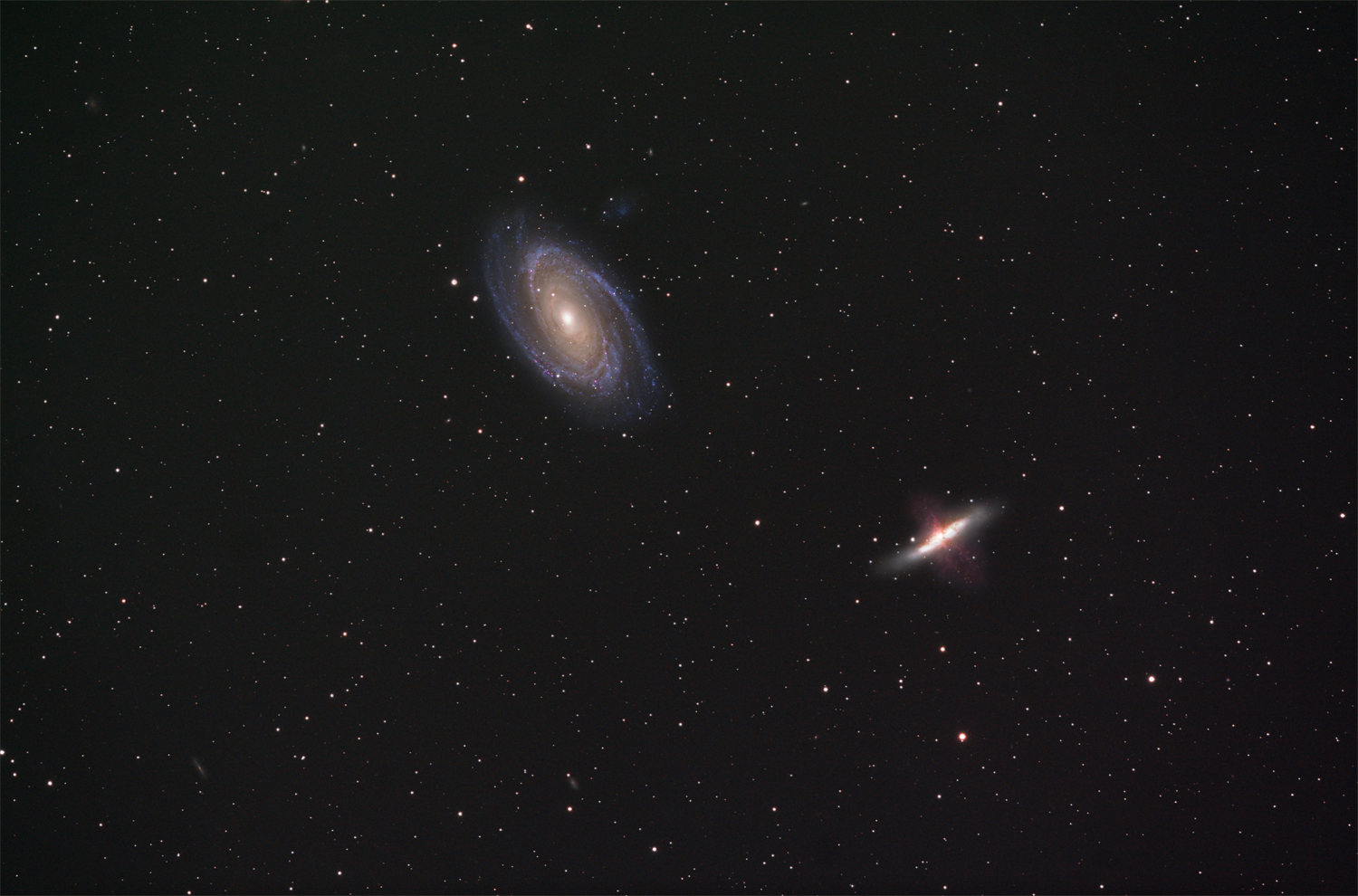 M81 M82 Widefield