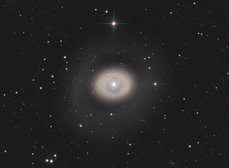 M94