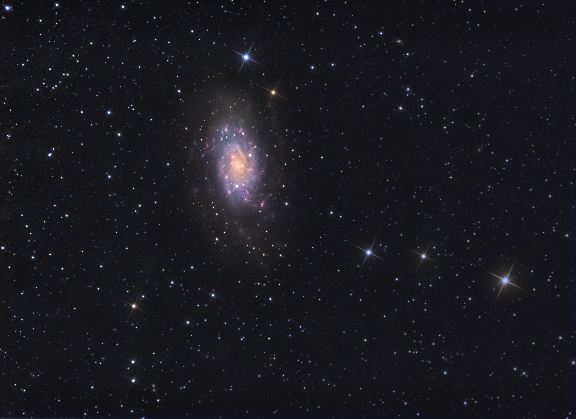 NGC2403