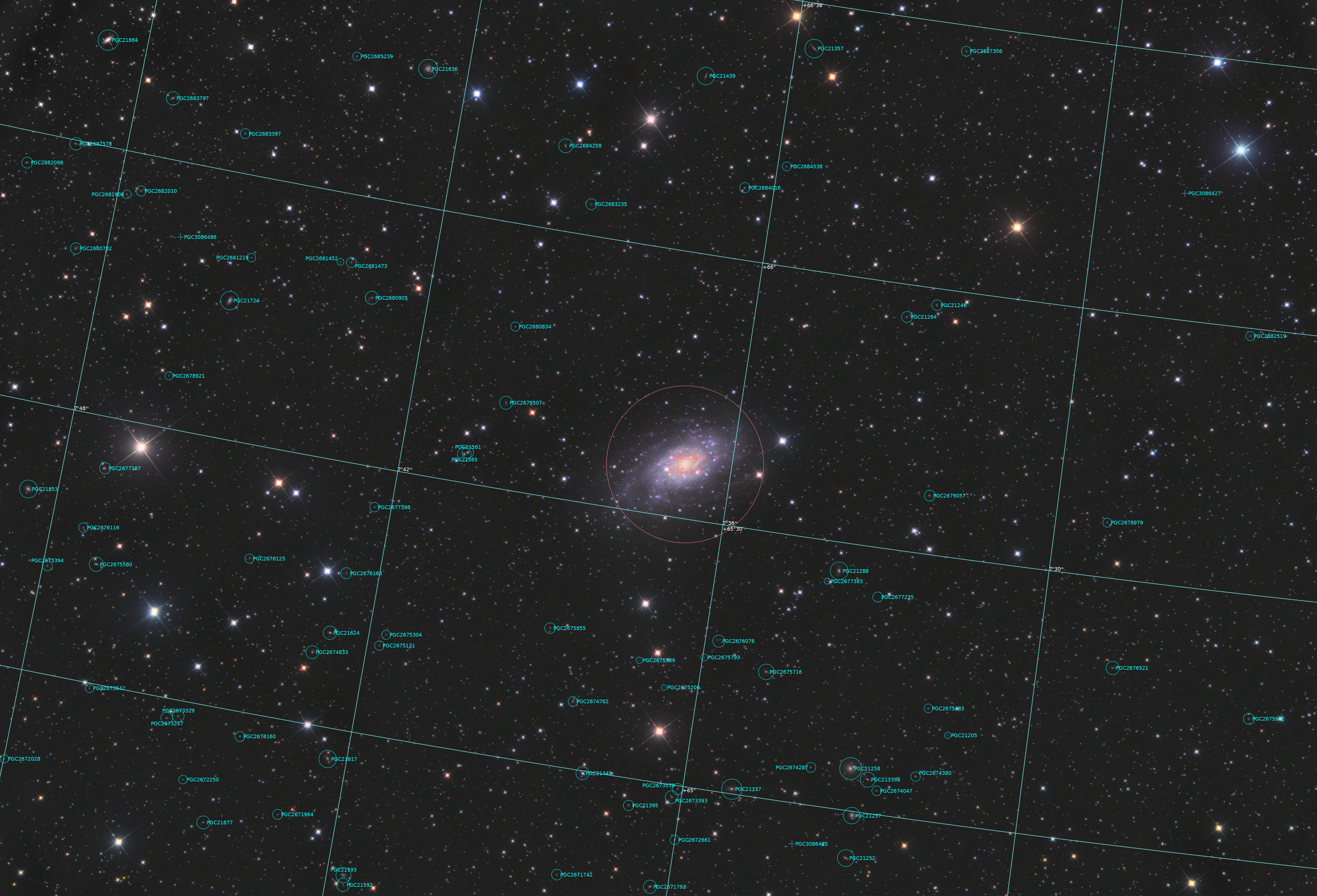 NGC2403