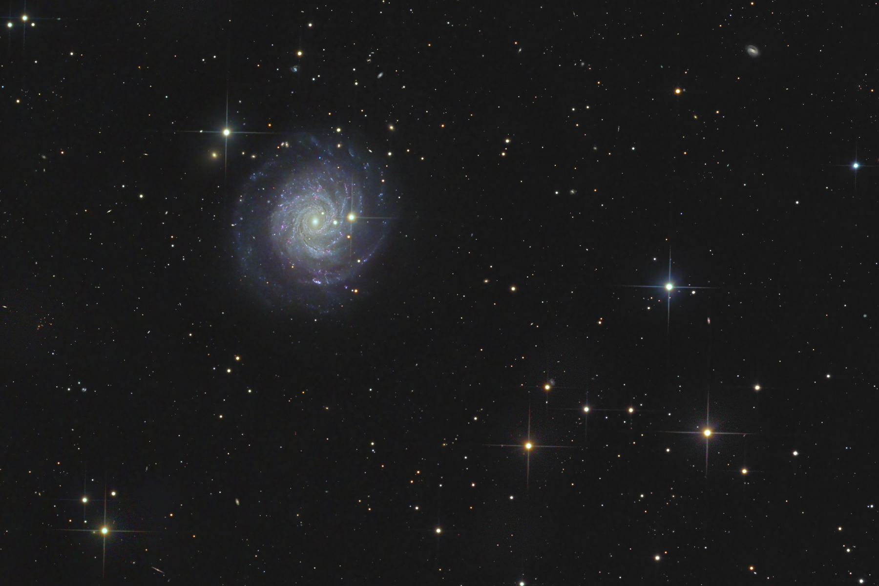 NGC3344