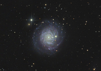 NGC3344
