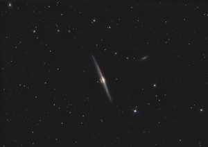 NGC4565