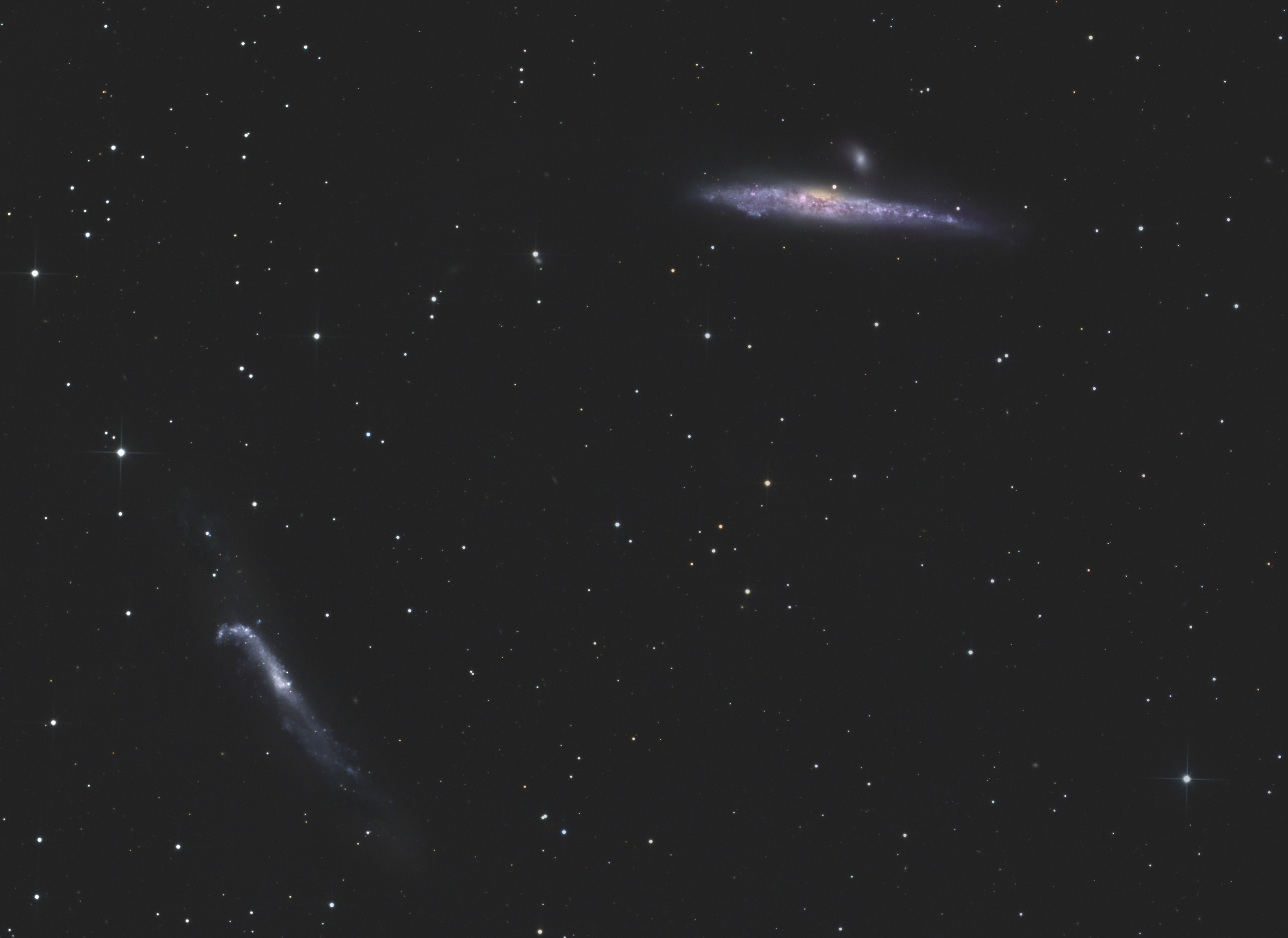 NGC4631