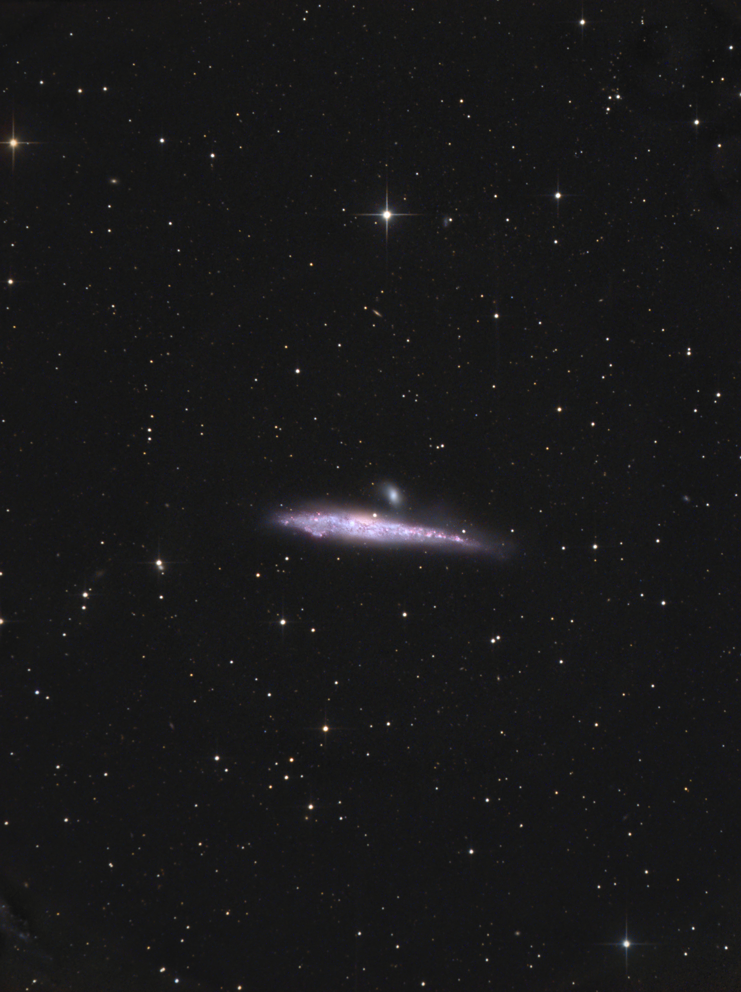 NGC4631