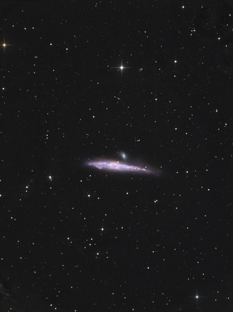 NGC4631