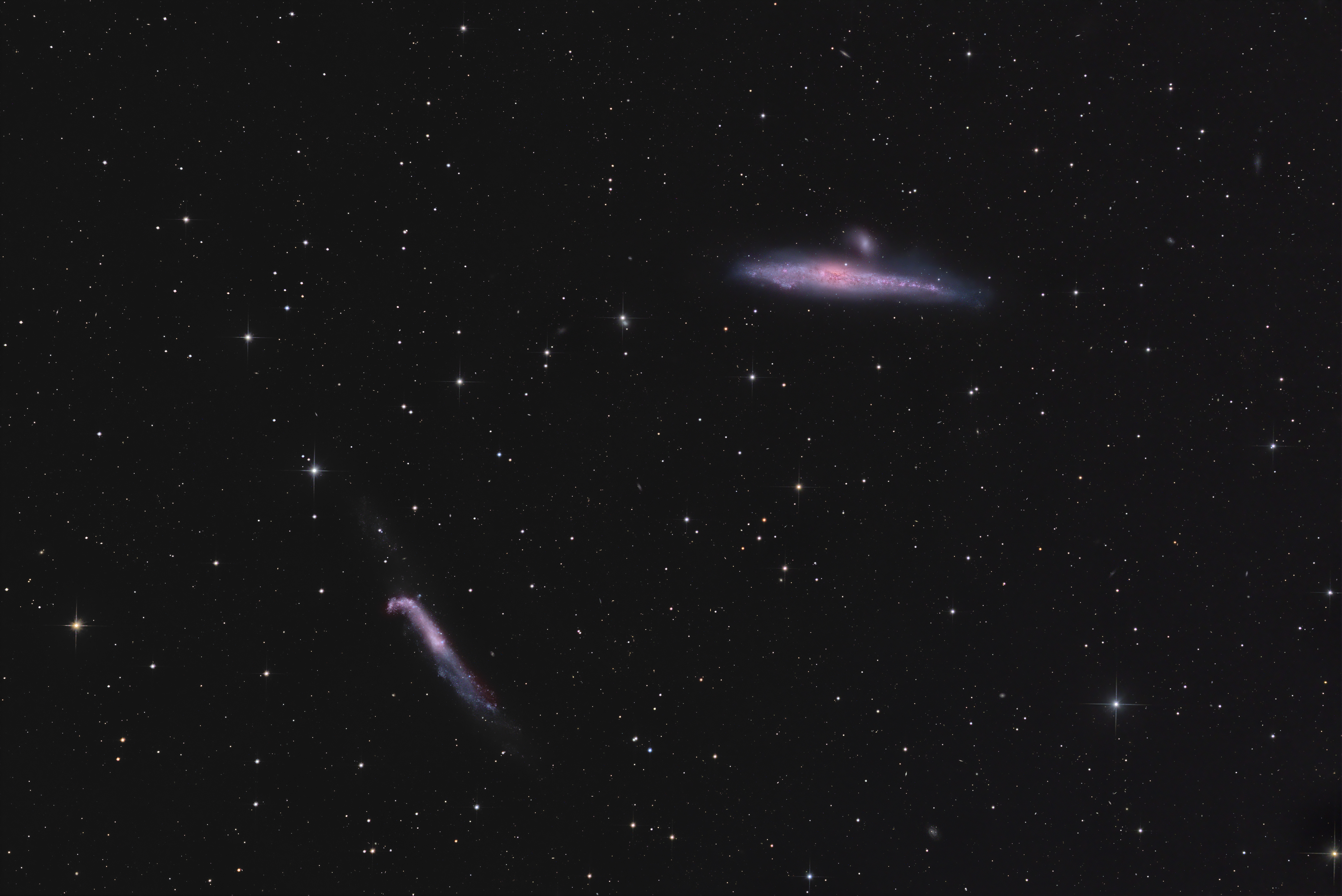 NGC4631