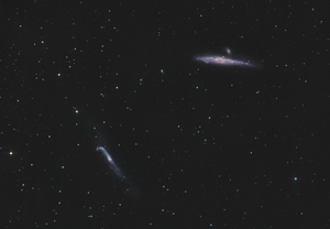 NGC4631