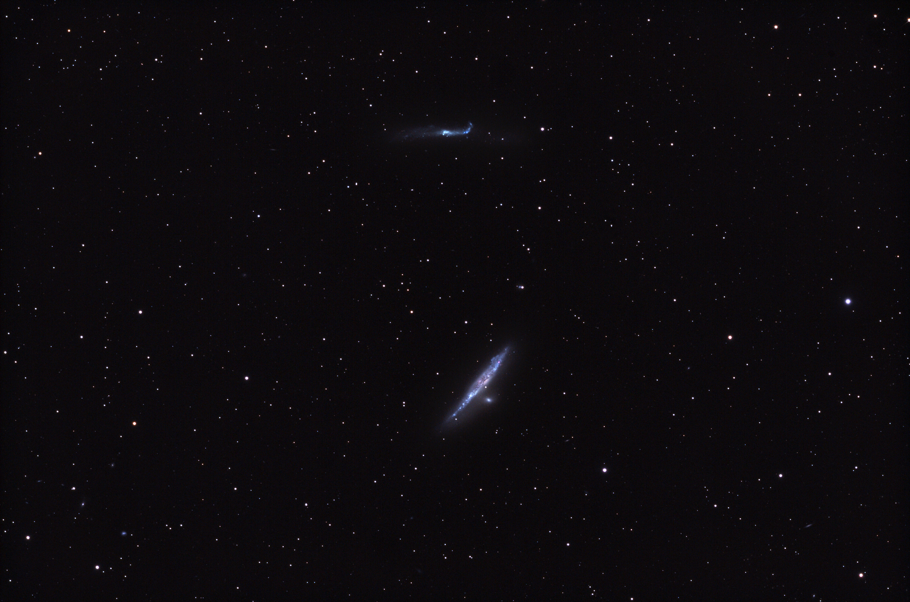 NGC4631 und NGC4656 TMB