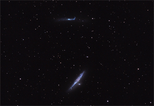 NGC4631 und NGC4656