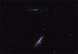 NGC4631 und NGC4656