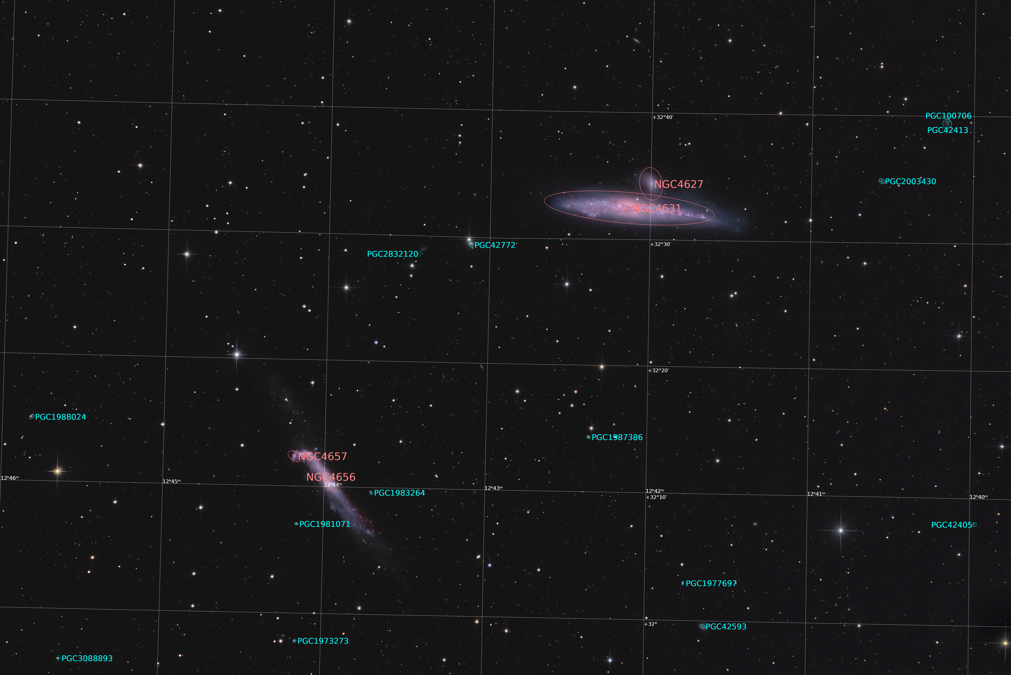 NGC4631