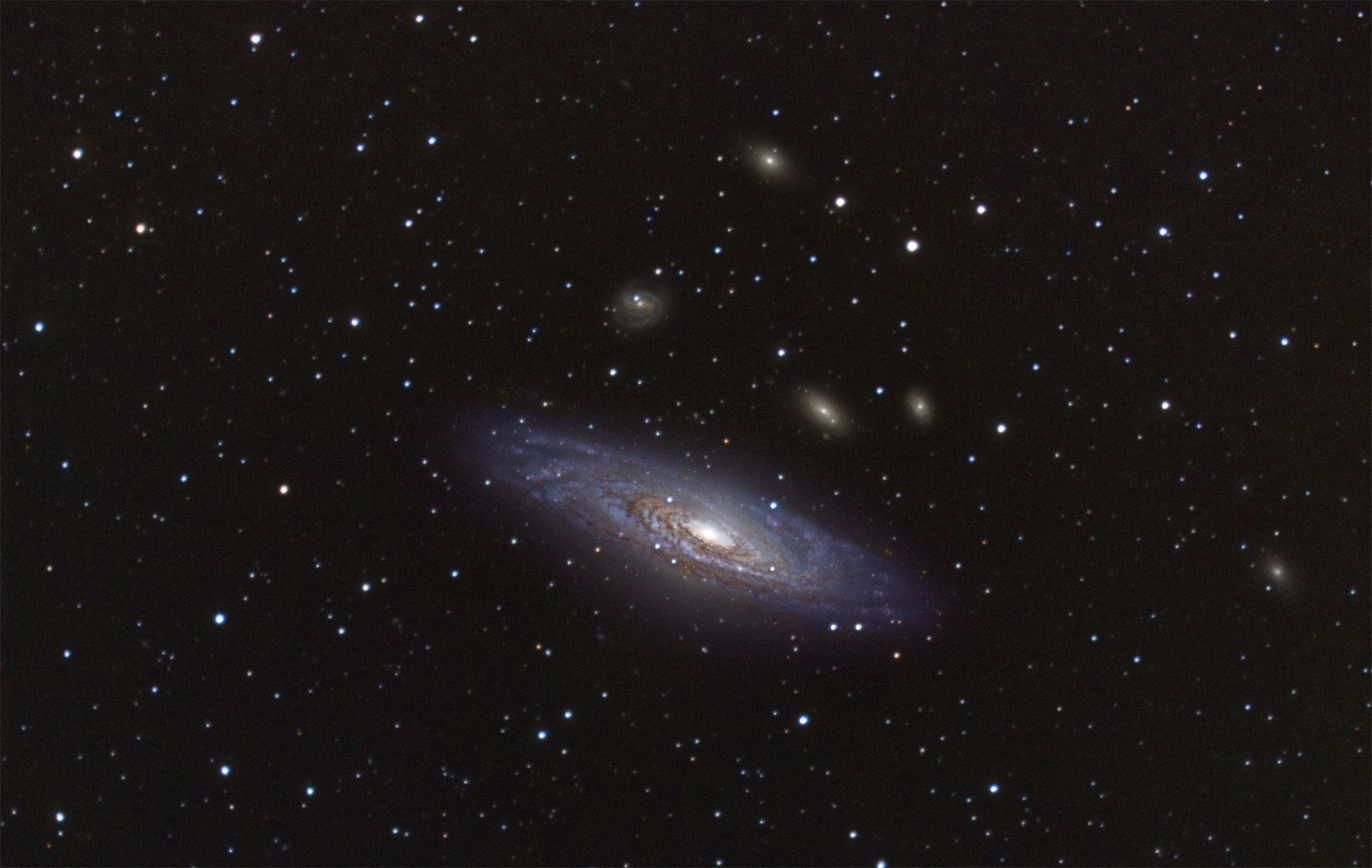 NGC7331