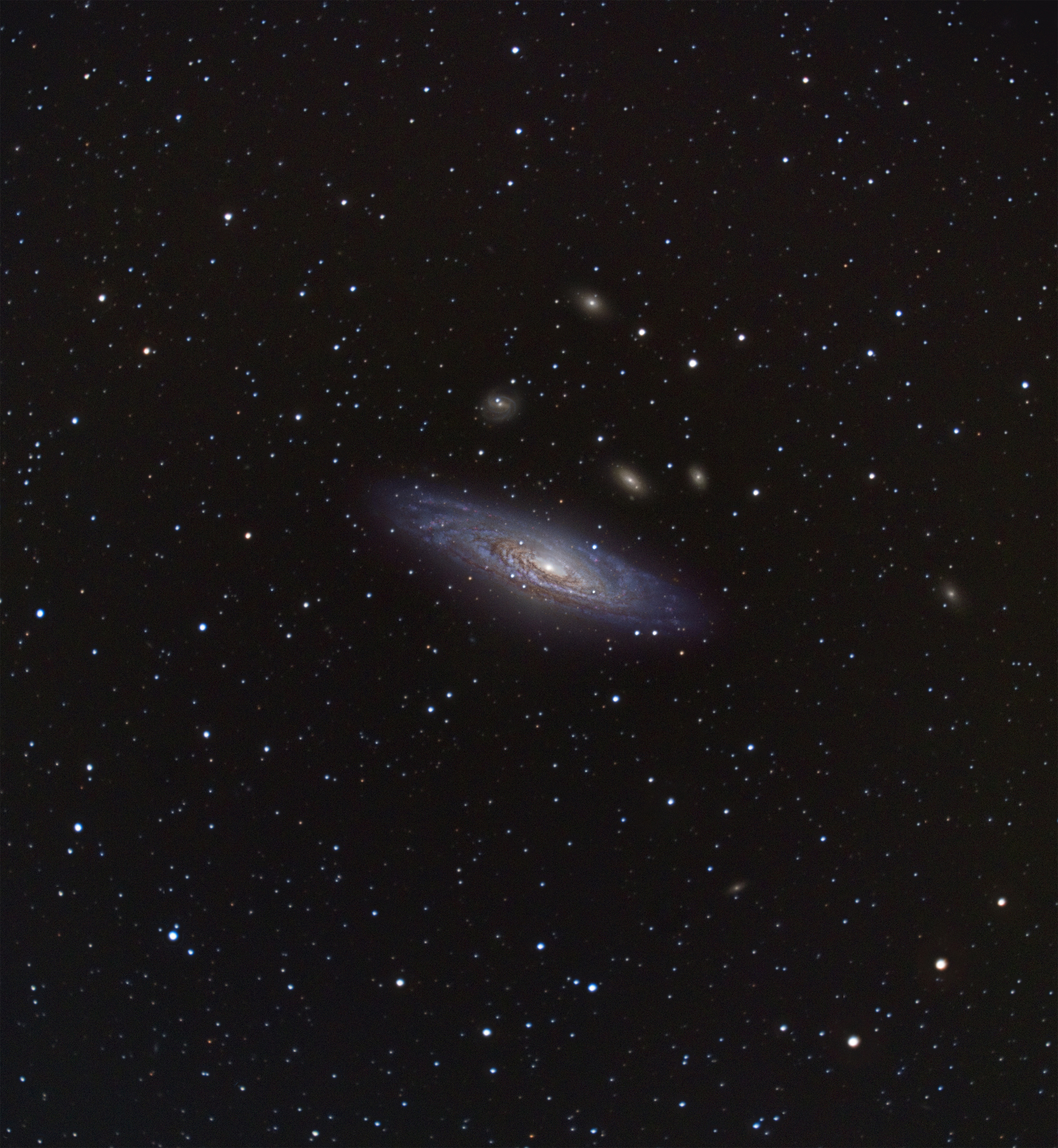 NGC7331