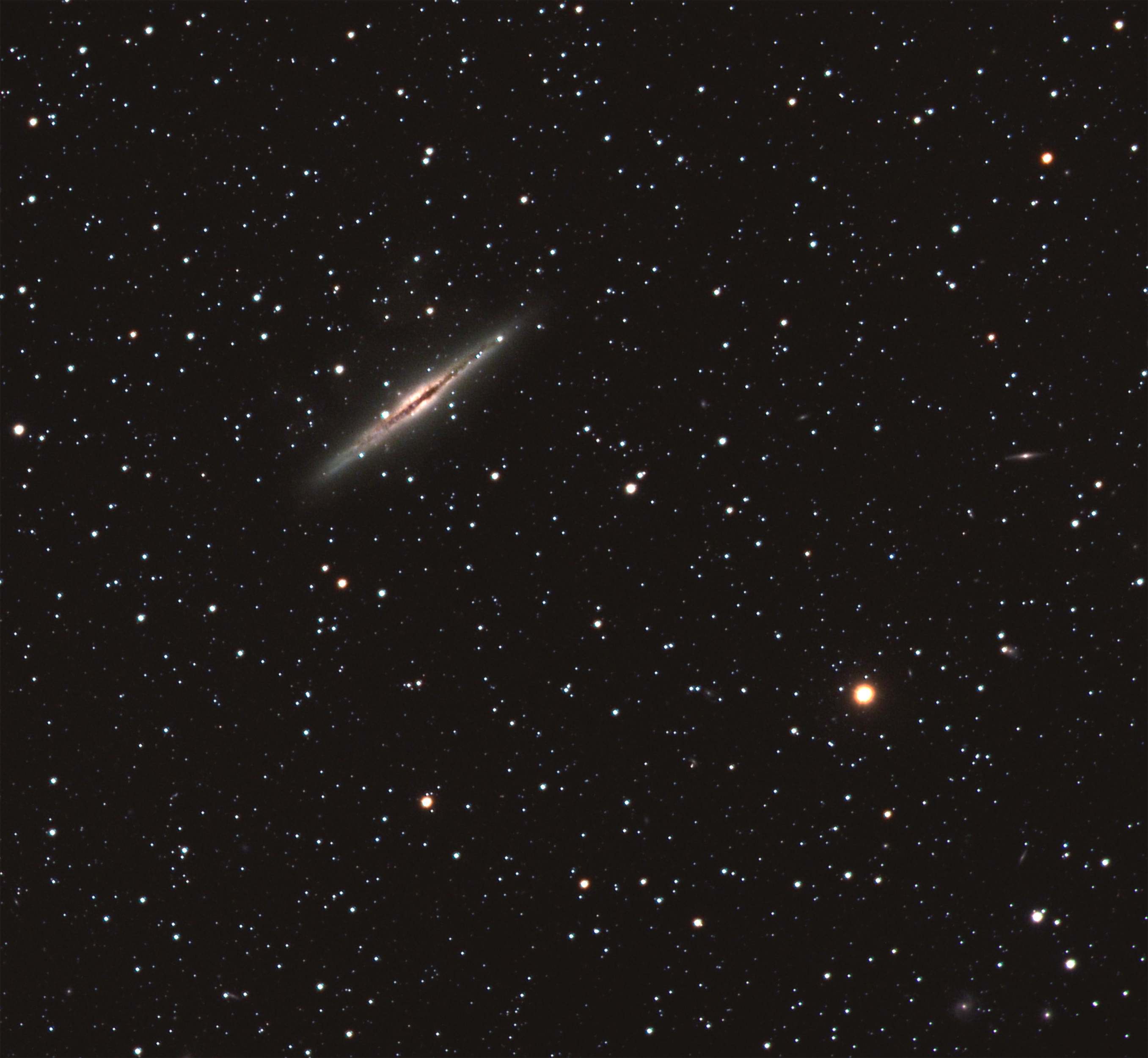 NGC891