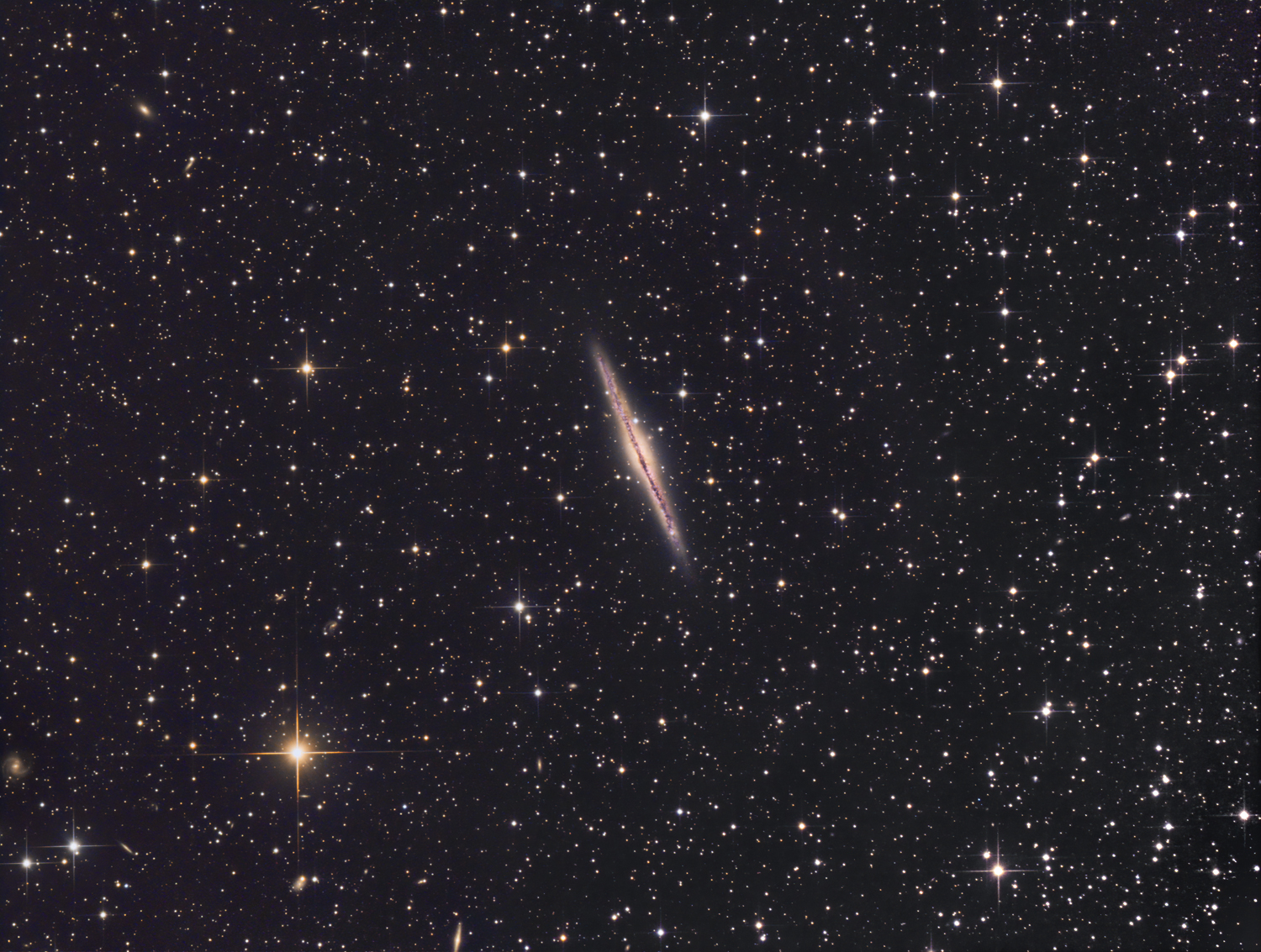 NGC891