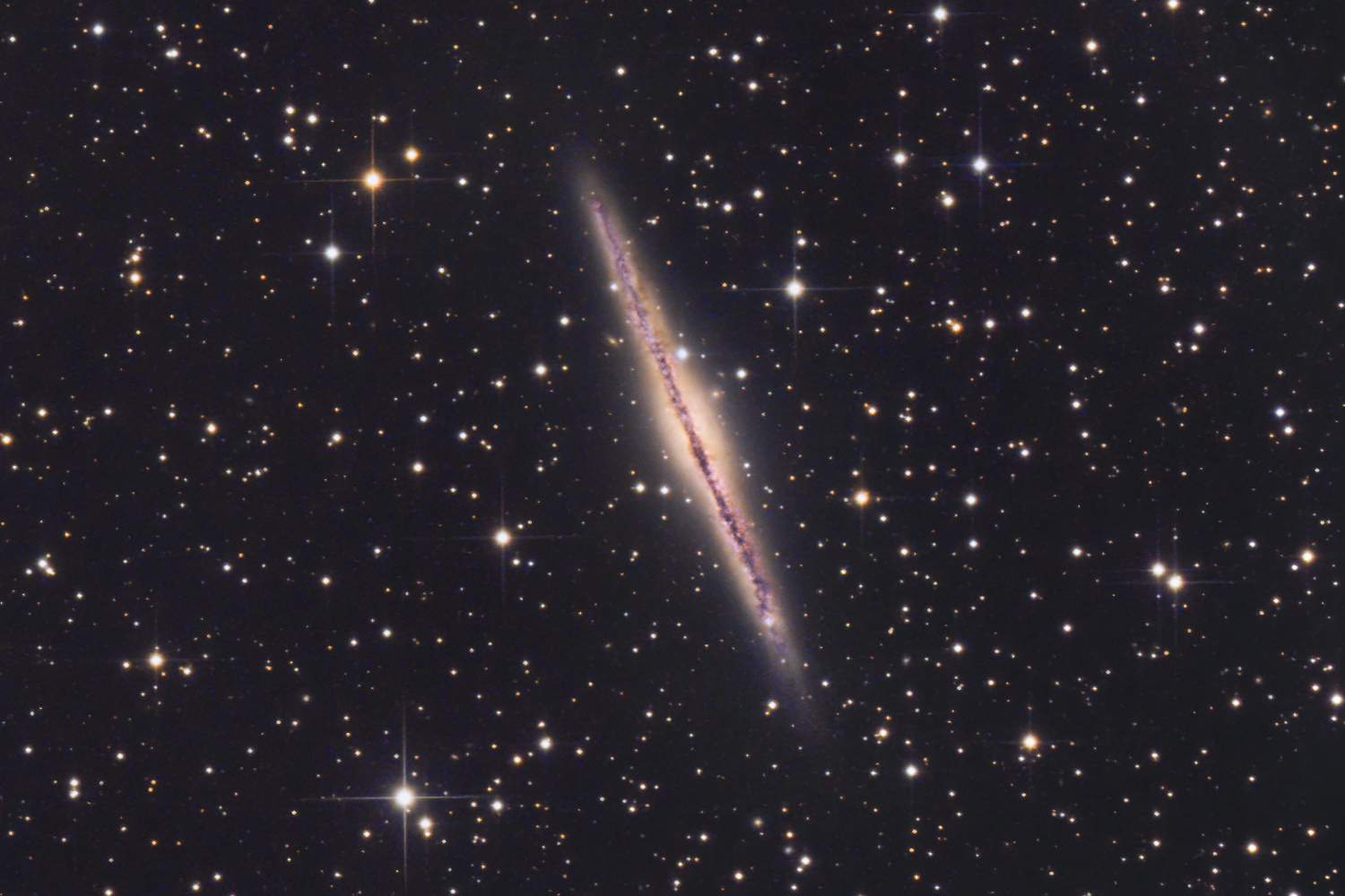 NGC891