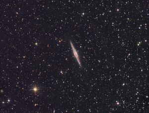 NGC891