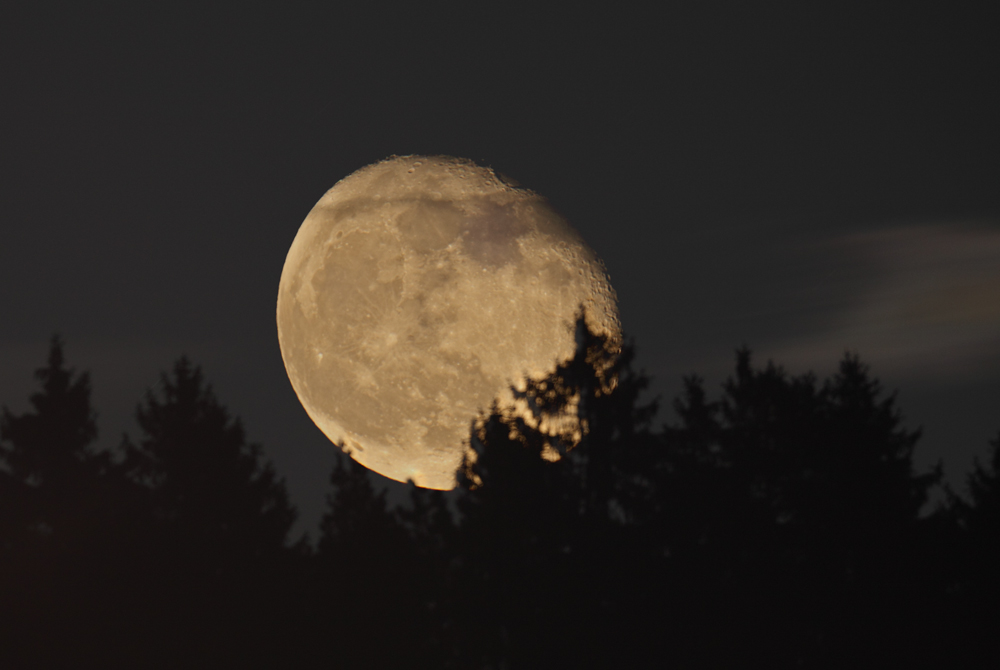 Mondaufgang im Schwarzwald am 4.12.2009