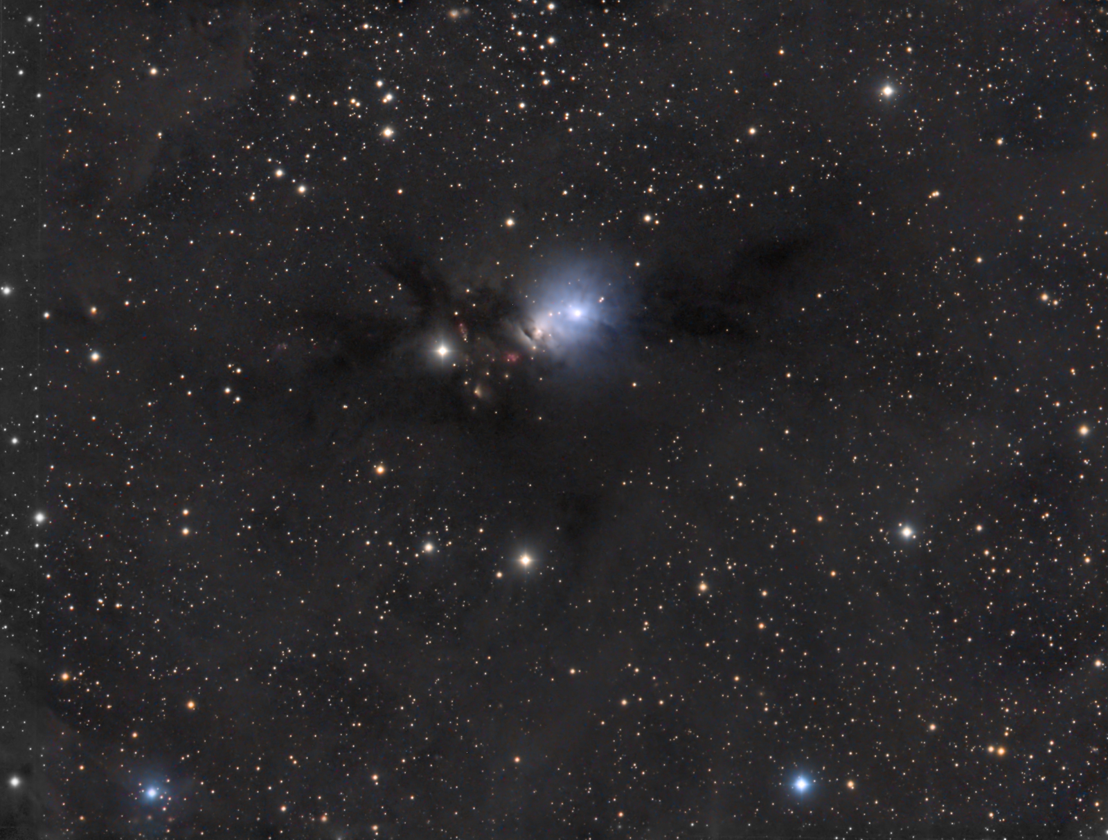 NGC1333