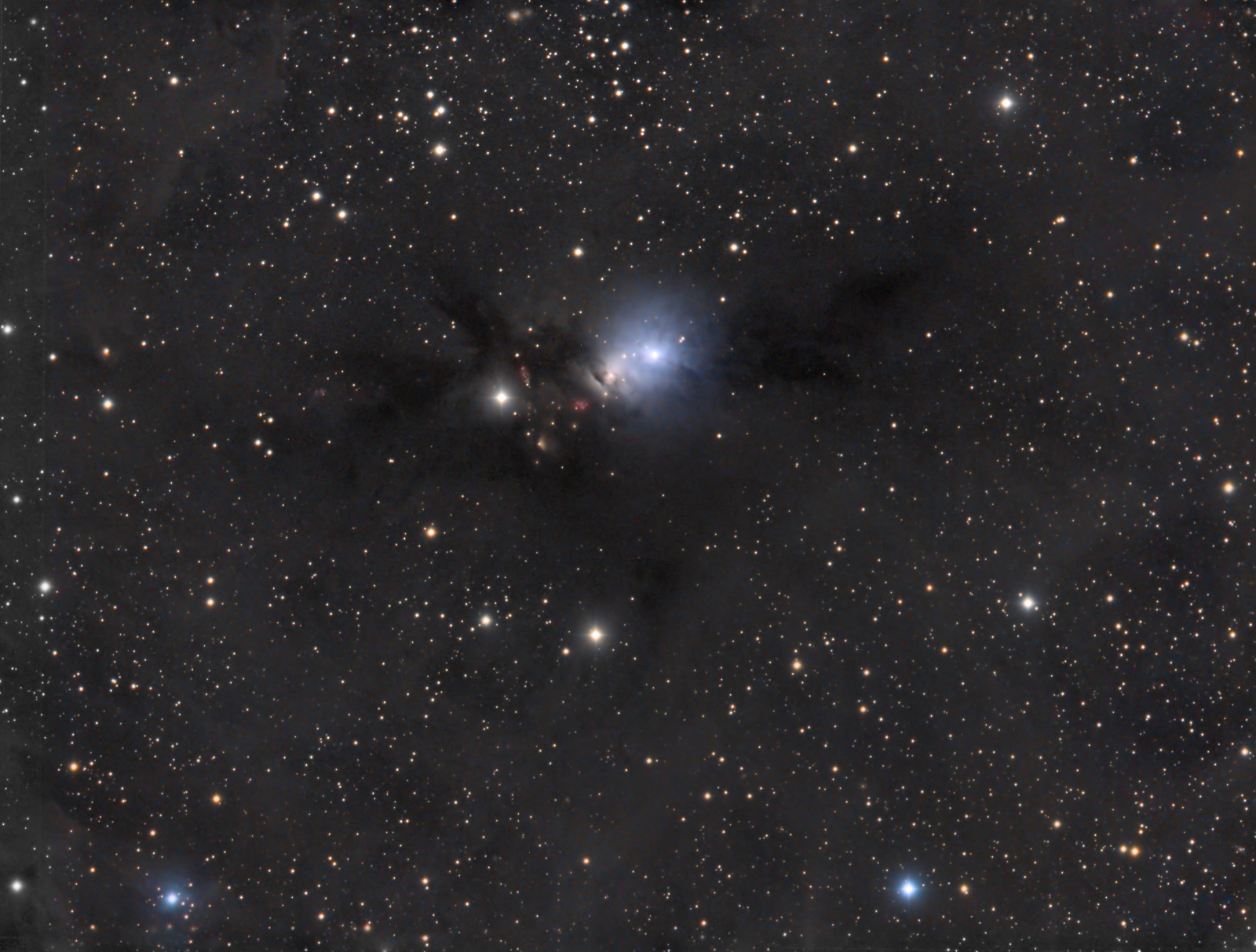 NGC1333