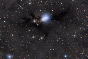 NGC1333